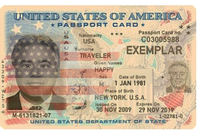 USA digital ID card sample